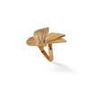 Flora Ring Ms3r300l