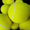 Giant Inflatable Pet Tennis Ball