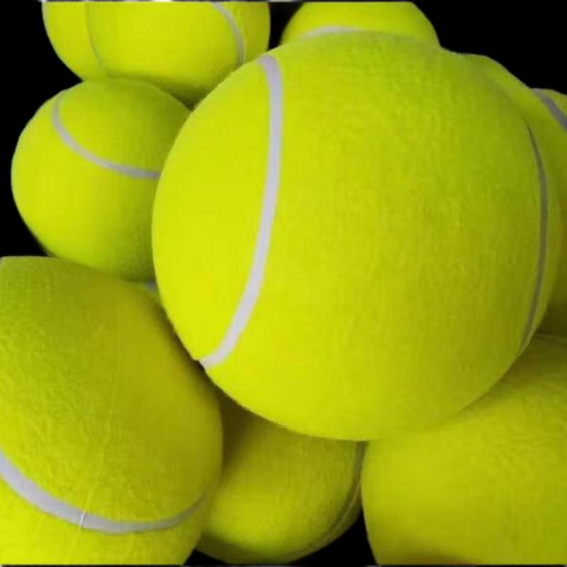 Giant Inflatable Pet Tennis Ball