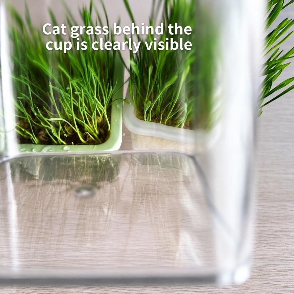 Layered Cat Grass Box Planter Detachable Microgreens Growing Box Indoor Growing