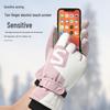 Winter Warm Ski Gloves