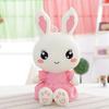 40CM Cute Wearing Dress Rabbit Plush Toys Bunny Stuffed &Plush Animal Baby Toys Doll Baby Accompany Sleep Toy Gifts For Kids