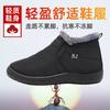 Cotton Shoes Women's Large Size Women's Shoes Snow Boots Piled Thickened Thermal Short Boots Cotton Boots Women's Boots