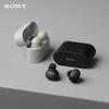 SONY WF-1000XM6 True Wireless Noise-Cancelling Earbuds