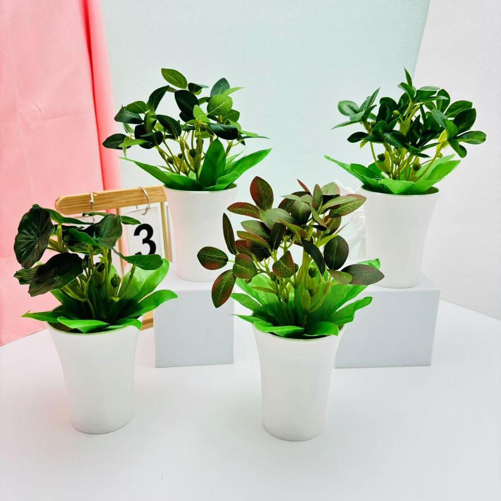 Mimosa Pudica Schefflera Octophylla Green Plant For Home Decor Tabletop