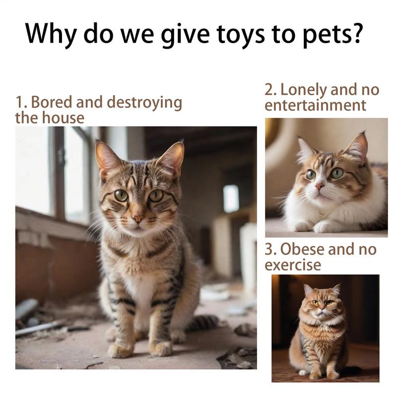 Interactive Cat Toys Interactive Funny Cat Ball Feathers Creative Teaser Toy Exercise Playing Indoor Outdoor Use