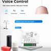 Zigbee Tuya Smart 3-Way On/Off Module for Alexa