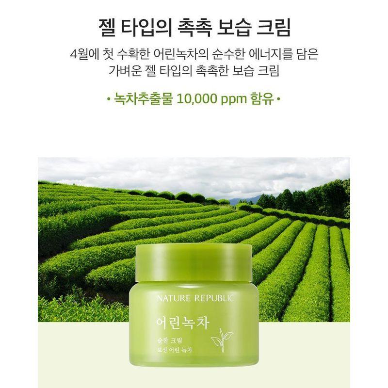 NATURE REPUBLIC - Young Green Tea Mild Cream