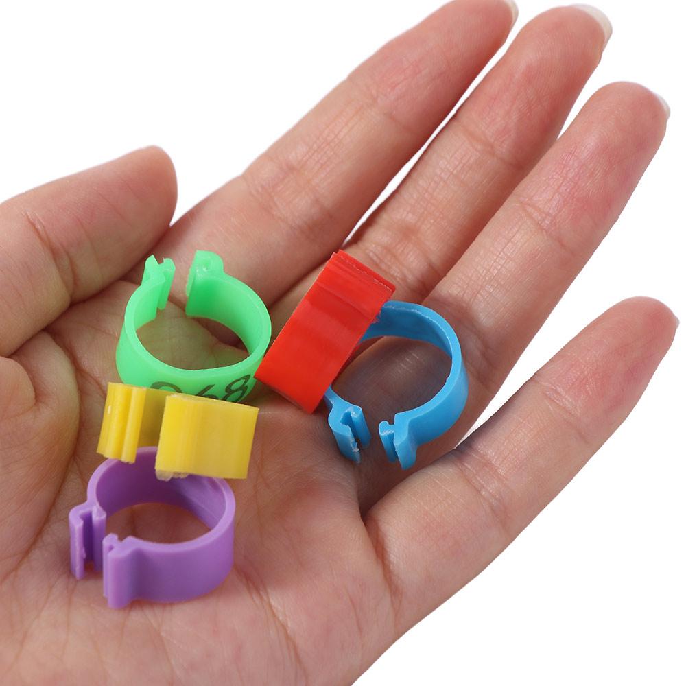 100pcs Portable Poultry Ankle Bands Mixed Colour Bird Leg Sign Rings  Poultry Accessories