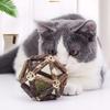 Catnip Toy Bell Ball Interactive Cat Teaser Stick Teeth Grinding Chewing Toy Self-Entertainment Cat Toy Supplies