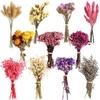 DIY Natural Dried Flower Set Eucalyptus Lavender Wheat Bunny Tails Billy Ball Flower Bouquet with Stems for DIY Crafts Home Wedding Vase Decor