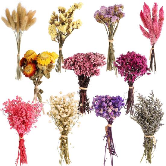 DIY Natural Dried Flower Set Eucalyptus Lavender Wheat Bunny Tails Billy Ball Flower Bouquet with Stems for DIY Crafts Home Wedding Vase Decor