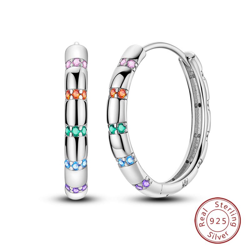 New 925 Silver Hope Rainbow Flower Earrings For Women Sparkling Colored Zircon Star Koi Earrings Fashion Party Jewelry