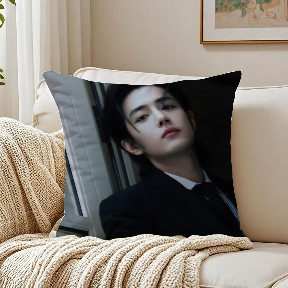 

Ssean Xiao Idol Fan Exclusive Cushion Cover Pillowcase Antidustmite living Room Sofa Decor Cushion Room 30X30cm