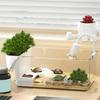 Sköldpaddsuppfödningslåda med klätterplats + blomkruka Låg vattennivå Multifunktionell yta Integrerade ekologiska element Sköldpaddstank