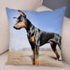 Doberman Pinscher Cushion Cover Both Sided Print Decor Pet Dog Animal Pillow Case for Car Sofa Home Soft Plush Throw Pillowcase