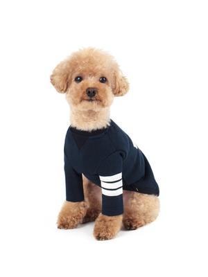 Giyim ve ayakkabı – Köpekler İçin Kapşonlu Kazaklar