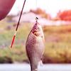 Artificial Fishing Bait Fish Lures Soft Fishing Lure Fishing Baits Fake Artificial Lure Soft Plastic Cricket Insects Bait