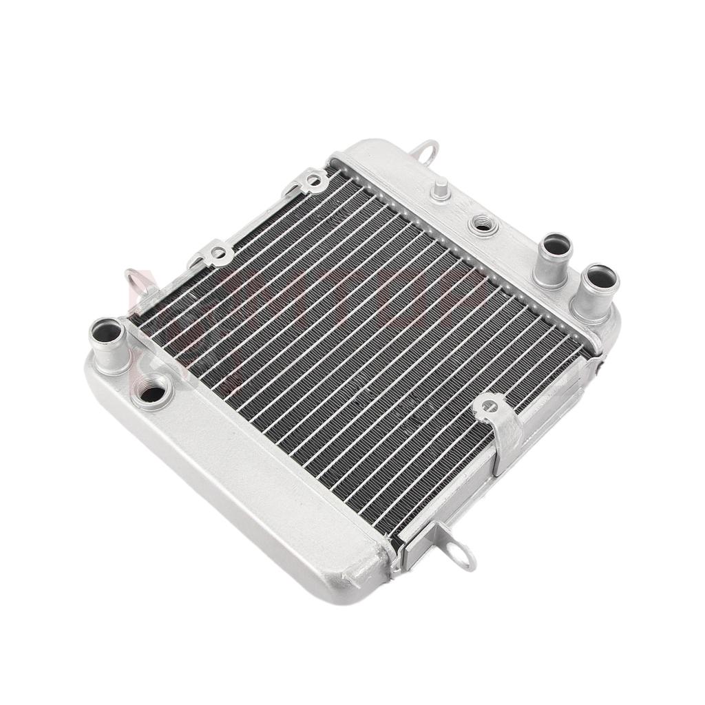Motorcycle Aluminium Cooling Radiator Water Cooler For Honda PS250 Big Ruckus 2006 19010-KTB-003