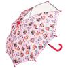 Skater Paw Patrol Rescue for Ages Preschooler with Transparent Window for Clear Manual Opening Finger 8 Children's Umbrella, 40cm, Design, 3-4
