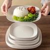 Sheng Bi Lai Disposable Lotus Plates