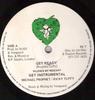 12inch Record MICHAEL PROPHET / RICKY TUFFY - Get Ready PE7 Passion Enterpr 1990 UK Reggae, Ska & Dub Used