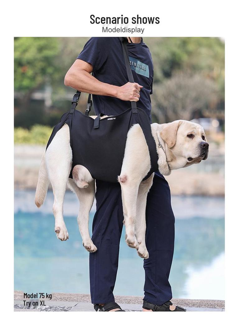 Pet Mobility Support Belt for Elderly or Disabled Cats and Dogs