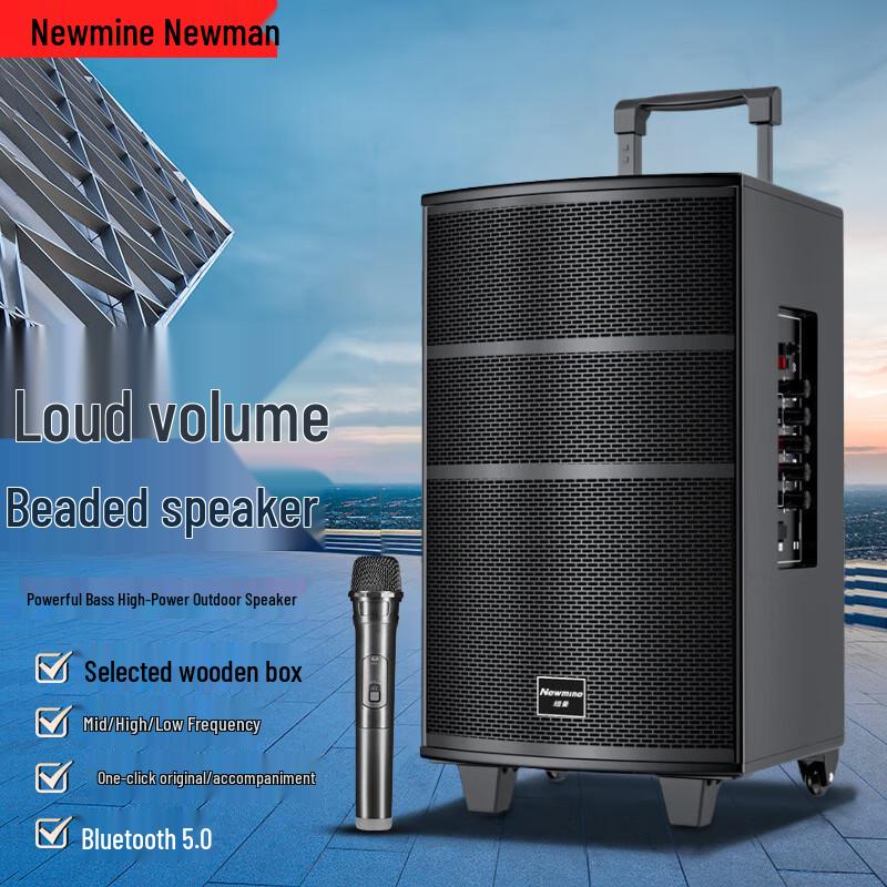 Newmine Portable Outdoor KTV Bluetooth Speaker
