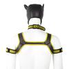 Erotic Adult Toys Set: Dog Headgear, Armband, Chest Strap, Neck Collar, Costume Props