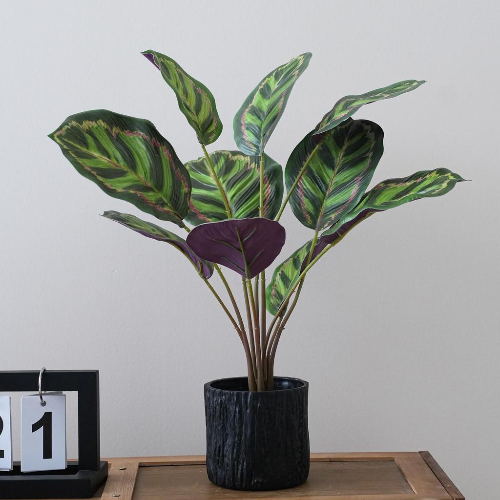 Artificial Turtle Back & Caladium Leaf Plants - Small Potted Decorations for Office, Living Room, or Coffee Table