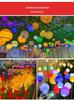 Colorful PE Round Ball Lawn Lights for Scenic Areas & Community Decor