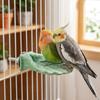 Wear-resistant Parrot Perch Stand Shell Shape Bird Cage Perches Parrot Resting Platform  Beak Care