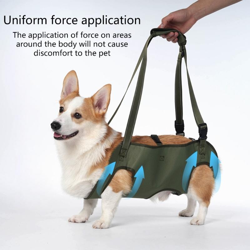 Dog Lift Harnesses Regulable Portable Walking Assistance for Small and Large Dogs Surgeries Recovery and Support