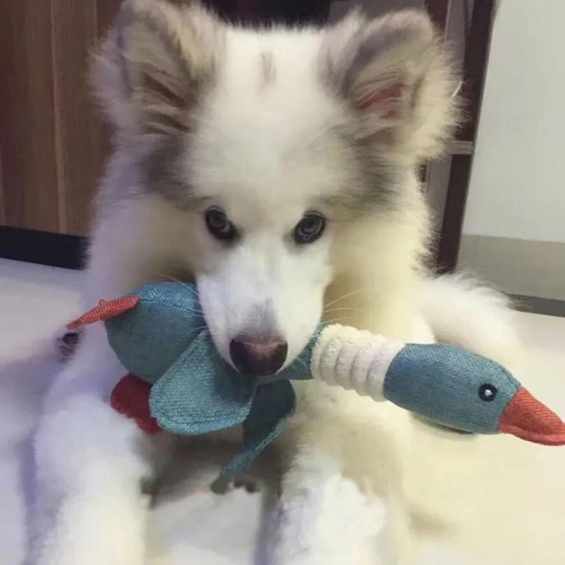 30cm Pet Mallard Duck Dog Toy for Big Chewers Dog Squeaky Wild Goose Puzzle Training Toys Cute Soft Dog Chew Toy with Squeaker