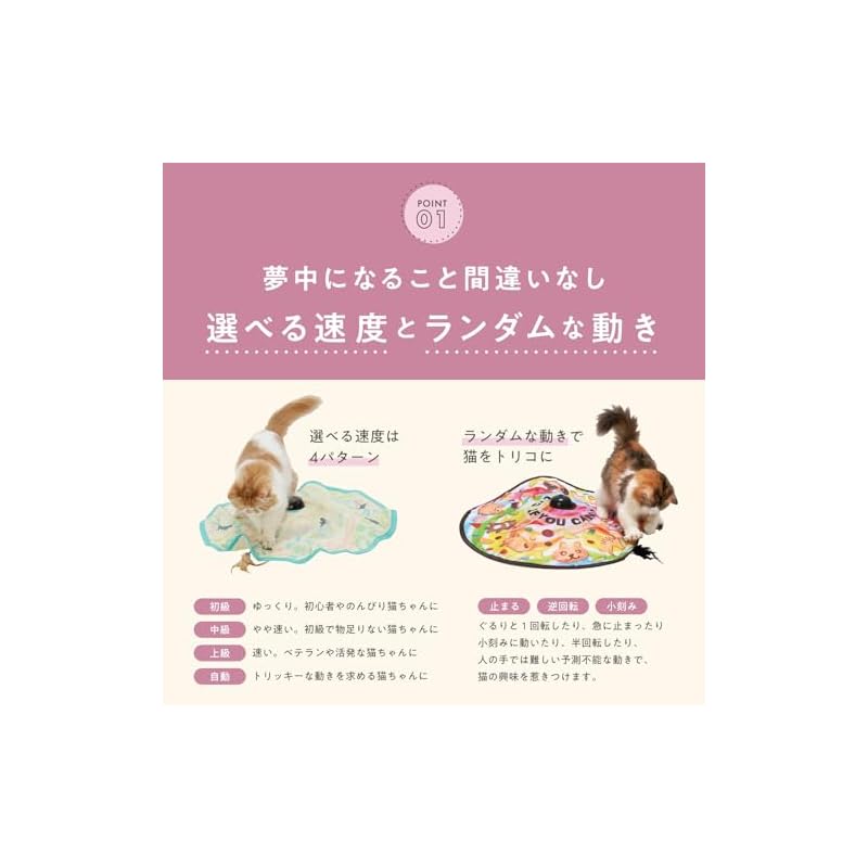 Nekoichi Catch-Me-If-You-Can 2 Electric Cat Toy