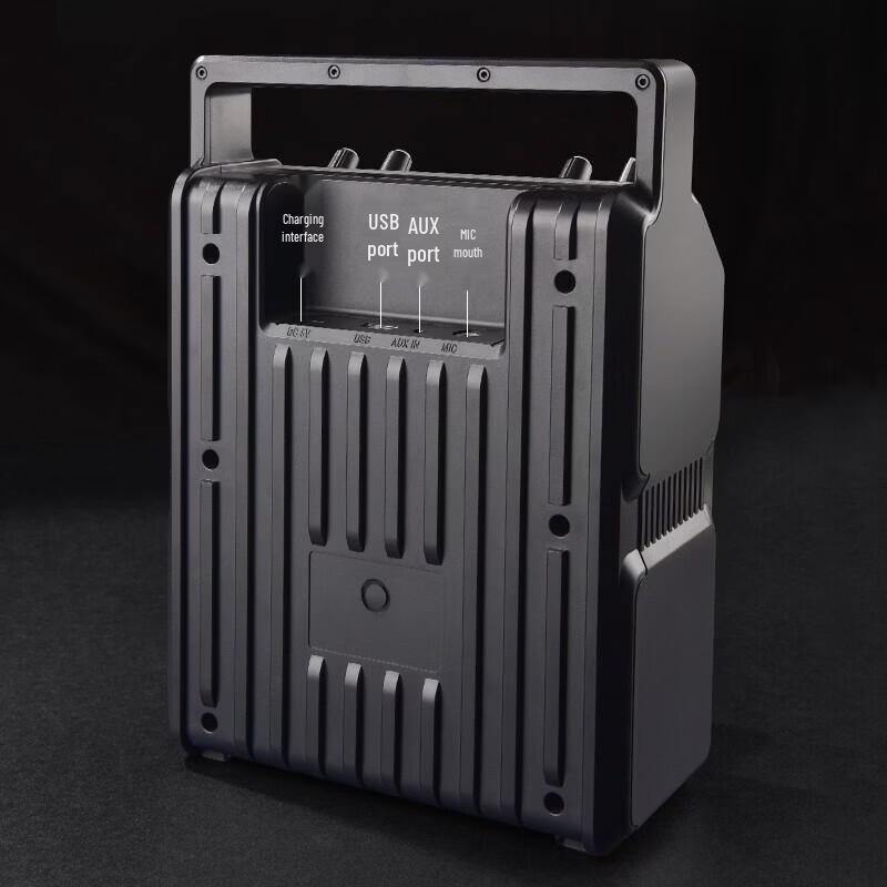 Philips SD50X Portable Outdoor Bluetooth Speaker (CN Version)