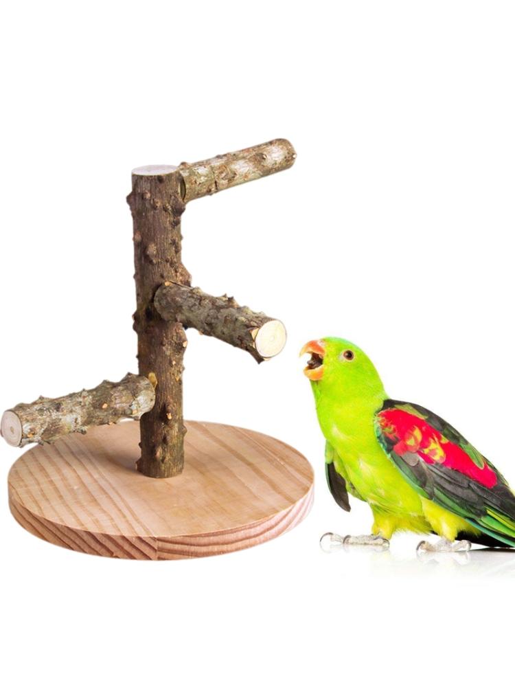 cheap bird stands