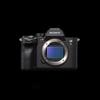 Foto – Camere digitale