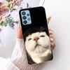 Cartoon Katze Drache Tiere Malerei Hülle für Samsung Galaxy A32 A33 5G 4G Rückseite Transparent Weiches TPU Silikon Handyhülle