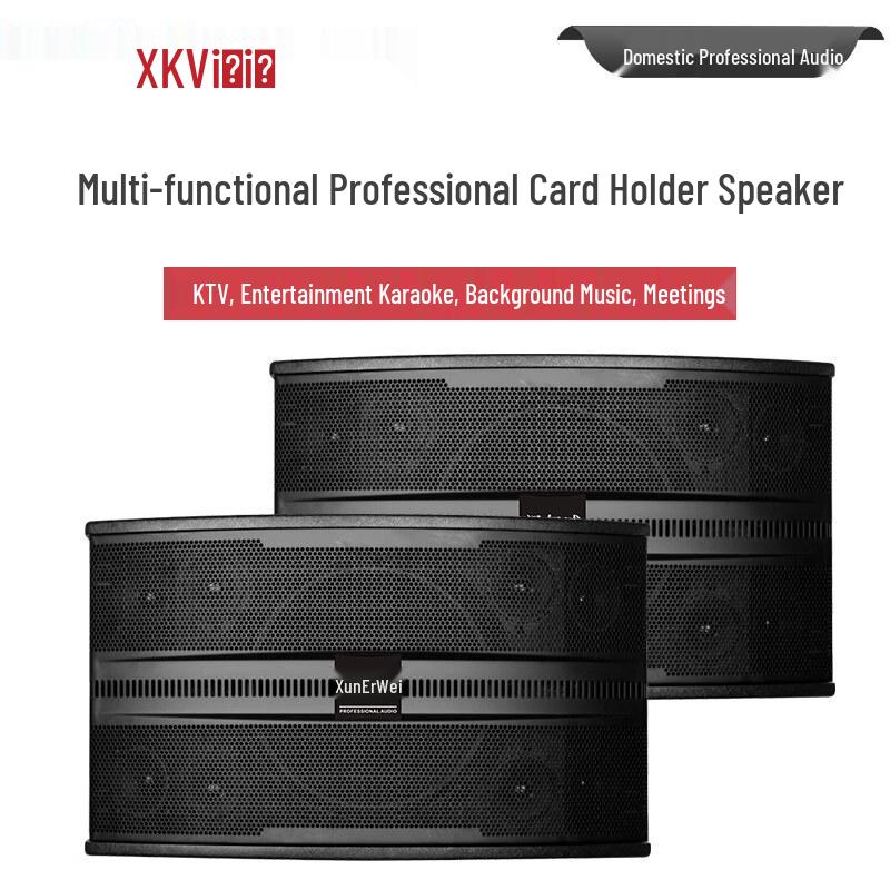 Xun'erwei Professional Audio Systems (CN Version)