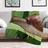 Large Brown Snail Ahatina on Green Leaf Funny Science Biology Gift Throw Blanket Fluffy Cozy Throw Blanket for Home Decor