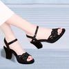 Early summer new 2025 new thick heel sandals women's summer fish mouth women's shoes rhinestone high heels women's black mother shoes