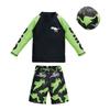 2026 Boys' Two-Piece Dinosaur Swimsuit Set – Long Sleeve, Sun-Protective, Breathable, Quick-Dry