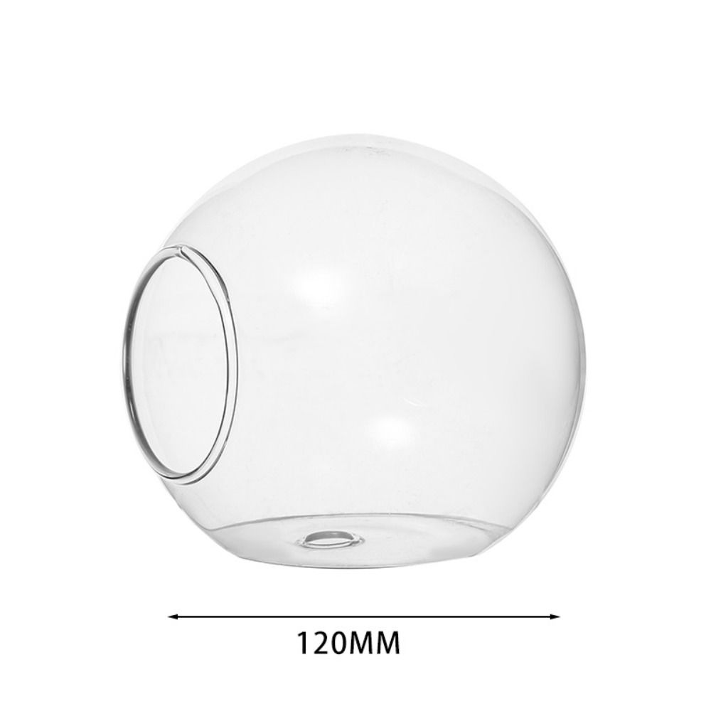 Terrarium Container Blume Flasche Sukkulente Hydrokultur Pflanze Vase