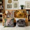 Lustige traurige Hamster Emoticon Kissenbezug Kissenhülle Polster Sofa Wurfkissen Heimdeko Kissenbezug