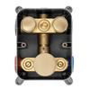 Concealed Shower Set Lungo Gold Thermostatic Sku Rea-p8551