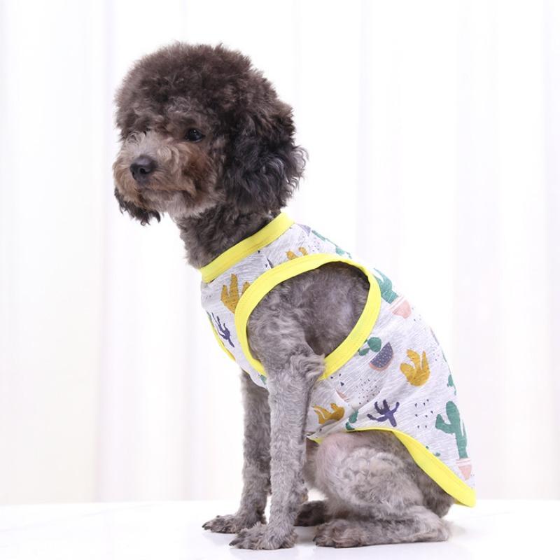 Pet Small and Medium-sized Dogs Fighting Cats Teddy Bichon Dog Clothes Spring and Summer Sunscreen Cool Vest Supplies
