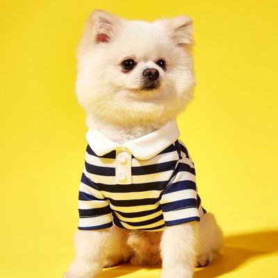 Bekleidung & Schuhe – Westen & Hemden für Hunde