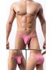 Men's Low-Waist Sexy Breathable Mesh Triangle Briefs Bikini E-091