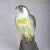 Outdoor Eagle Ornament: Pastoral Bird Repellent Simulation Decoy Model